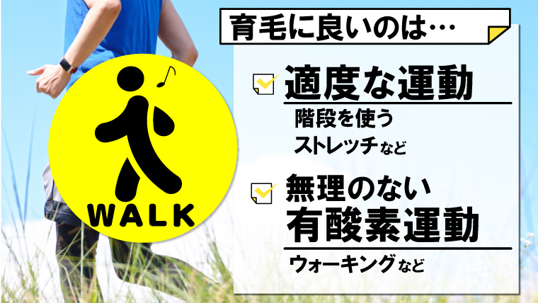 【運動は育毛に効果あるの？ズバリ1選！】育毛本が推奨している誰でも出来るちょっとした運動習慣。 